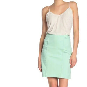 Catherine Malandrino Coco Bay Skirt Paneled Pencil Skirt Light Green Orig$58